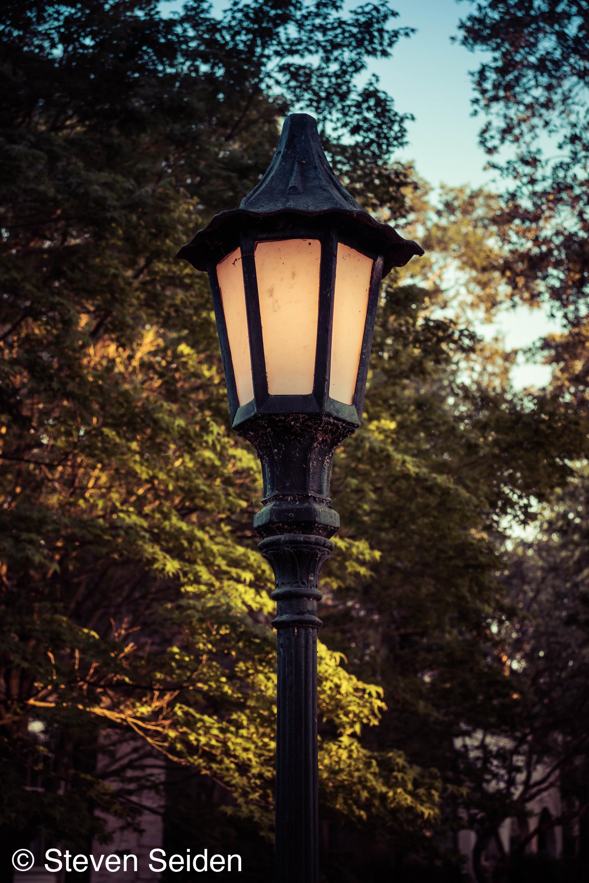 A picture of a vintage streetlamp.